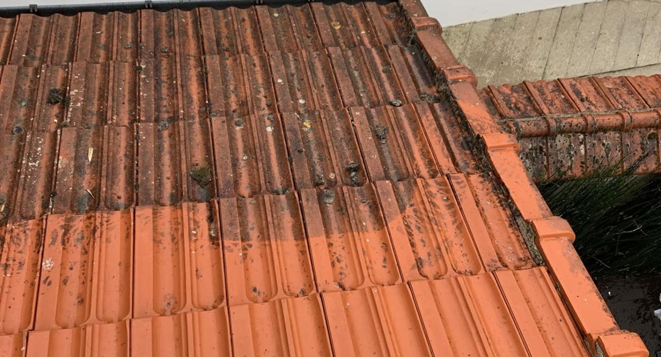 Nettoyage de toiture